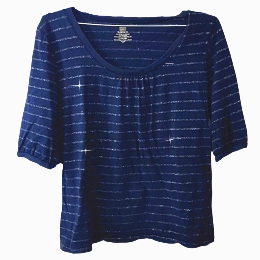 Navy Blue Sparkling Silver Stripes Top
